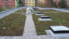 Střecha 55. MŠ v Plzni izolovaná fólií Dekplan po osazení extenzivní zeleně (vrstvy zeleně prováděla jiná firma)